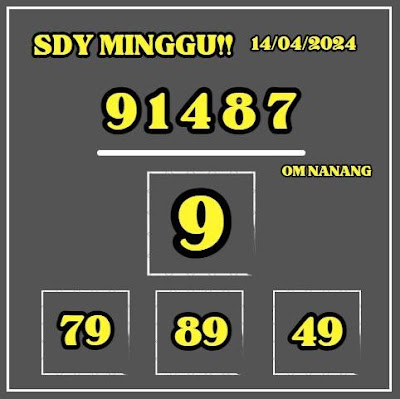 SYAIR SDY VIP